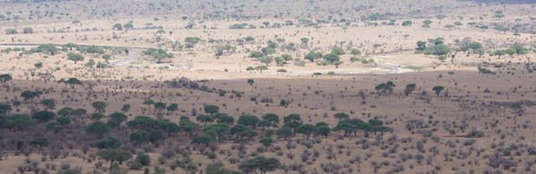 Serengeti - Arusha - Departure
早餐後,將搭乘草原飛機,回到阿魯沙市區,享受美好的午餐後,準備搭乘前往吉力馬札羅國際機場的航班。 雖然這是我們此次 Safari 的結束,但這絕對不是要跟您說見面,珍藏您在狩獵日子的美好時刻,期待下次再和你,一起回到這片讓人心動的大地。