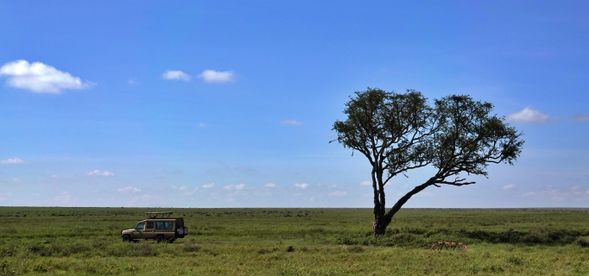 馬尼亞拉湖 > 阿魯沙 > 回程
早餐後,我們將驅車前往阿魯沙市區,準備搭乘前往吉力馬札羅國際機場的航班。
雖然這是我們此次 Safari 的結束,但這絕對不是要跟您說見面,珍藏您在狩獵日子的美好時刻,期待下次再和你,一起回到這片讓人心動的大地。