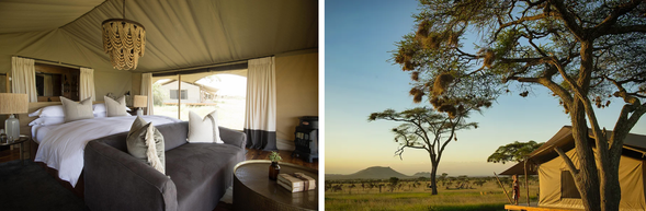 🛏️住宿:Siringit Camp
精品帳篷營地,位於塞倫蓋提草原核心區域。
少房數設計,營地氛圍安靜而私密。
在舒適與自然之間取得平衡,讓人真正融入草原節奏。