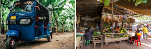 搭乘 Tuk Tuk 穿梭在 Mto wa Mbu 小鎮,體驗最道地的交通方式。途中可欣賞小鎮風光,走進傳統市集,參觀稻田與香蕉園,貼近居民的日常,深度感受坦尚尼亞獨特的文化與生活氛圍。