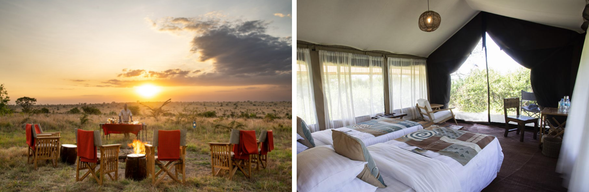 🛏️住宿:Nyikani Migration Camp((連住3晚-第一晚)
一座位於坦尚尼亞塞倫蓋蒂生態系統的季節性移動式豪華帳篷營地,專為讓旅客近距離觀賞壯觀的動物大遷徙而設計。