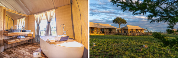 🛏️住宿:Malaika Luxury Camp(連住3晚-第二晚)
白天在草原追逐遷徙,傍晚回到帳篷,
夕陽染紅天際
晚餐在星空下進行,遠方傳來低沉的動物聲音
這裡不是度假村,卻比度假村更難忘