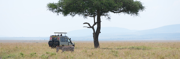 Serengeti → Arusha → 返程
早餐後搭乘草原小飛機返回 Arusha,準備踏上歸途。
從空中俯瞰塞倫蓋提遼闊草原,為這段旅程留下最後一眼。
結束這趟難忘的 Safari 之旅。