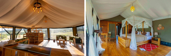 🛏️住宿:Zuri camp
座落於塞倫蓋提核心區域,動物密度穩定。
精品移動式帳篷,位置與體驗兼具。
讓你在草原中央醒來。