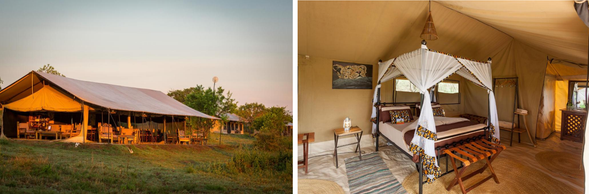 🛏️住宿:Gnu migration camp-Mara River(連住3晚-第一晚)
營地位於 北塞倫蓋提靠近馬拉河(Mara River) 區域,這裡正是 7–10 月間角馬與斑馬渡河壯景的最佳觀賞點。季節性營地(Seasonal Camp):隨著牛羚大遷徙而搭建,確保旅客能身處最佳觀賞位置。