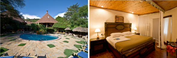 🛏️住宿:Sopa Lodge
Sopa Lodge位於Tarangire國家公園內,飯店範圍就在野生動物自然活動區,出門即能遇見大象、水牛或羚羊。飯店設有一座寬敞的戶外游泳池,泳池設計帶有非洲 bush‑lodge 的風格,泳池旁便是大自然草原。