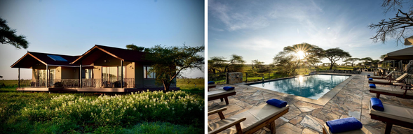 🛏️住宿:Sametu Camp Karibu (連住2晚-第二晚)
飯店四周是一望無際的草原,觀景視野遼闊,營地地勢略高,可遠眺日出與草原動物活動。距離主要觀察區如 Seronera 河谷與掠食者熱點不遠