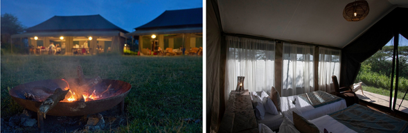 🛏️住宿:Nyikani Migration Camp(連住3晚-第一晚)
Nyikani Migration 營地距離馬拉河僅數分鐘車程,正是牛羚與斑馬在 7–10 月大遷徙中準備渡河的主要集結點。