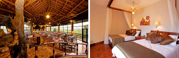 🛏️住宿:Tarangire Sopa Lodge
位於 Tarangire Sopa Lodge 的山丘之上,坐擁遼闊草原與塔蘭吉雷國家公園景觀。飯店以非洲傳統建築風格打造,寬敞舒適的客房與公共空間充滿濃厚在地特色。