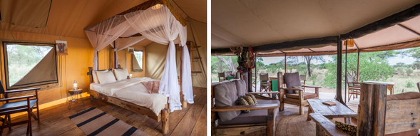 🛏️住宿:Baobab Lodge - Central Seronera (連住二晚-第一晚)
入住 Baobab Lodge,沉浸於塞倫蓋提草原的寧靜氛圍,享受舒適愜意的住宿體驗。
在一天精彩的 Safari 後放鬆身心,迎接翌日更多令人期待的野生動物探索。
