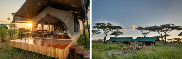 🛏️住宿:Nyikani MigrationaCamp - Ndutu
位於大遷徙與產仔季的核心區域,讓您走出帳篷便置身於野生動物的世界。在舒適與自然之間取得完美平衡,體驗最純粹的非洲草原之夜。