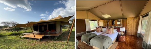 🛏️住宿:Acacia Bliss Serengeti Camp
這是一座典雅而親密的帳篷營地,位於中部草原偏靜地帶,環境自然寧靜,極適合在旅程尾聲慢下腳步、回味這幾天的野性邂逅。