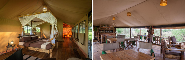 🛏️住宿:Baobab Tented Camp-Tarangire(連住2晚 -第一晚)
位於塔蘭吉雷國家公園園內,被壯麗的猴麵包樹(Baobab Tree)與稀樹草原環繞。