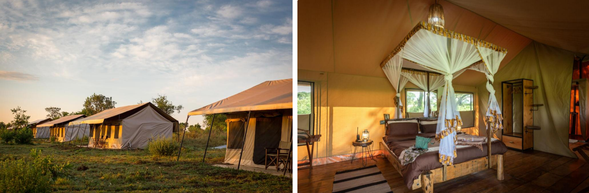 🛏️住宿:Baobab Tented Lodge
ake Burunge Baobab Tented Lodge 位於坦尚尼亞北部,緊鄰 Lake Burunge 湖畔、距離 Tarangire National Park 入口約 20 分鐘車程。非常適合想要兼顧「舒適住宿」與「自然 Safari 體驗」的旅客