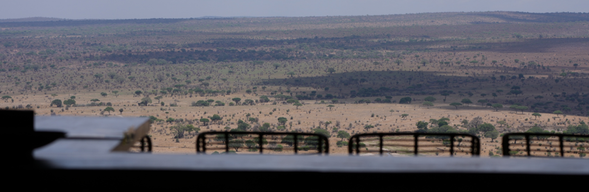 Kilimanjaro Airport – Arusha
抵達坦尚尼亞在吉力馬札羅國際機場,英文專業導遊及中文領隊將親自迎接您,隨後展開第一段陸地旅程,將前往阿魯沙的飯店。好好休息、調整時差,迎接接下來充滿野性的每一天。