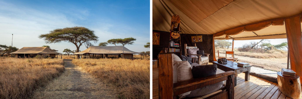 🛏️住宿:Mawe Tented Camp-Seronera
Mawe Tented Camp 採用 野奢帳篷設計,兼具荒野氛圍與舒適感。每間帳篷設有大床、獨立衛浴與私人陽台,白天可欣賞草原景致,夜晚則能聽見遠方獅吼或角馬群的低鳴。