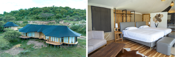 🛏️住宿:Baobab Lodge (連住2晚-第一晚)
坐落於塞倫蓋蒂核心區域,鄰近豐富的野生動物棲息地。舒適的豪華帳篷融合自然與便利設施,讓旅客在遼闊草原環繞下,享受最純粹的非洲 Safari 體驗。