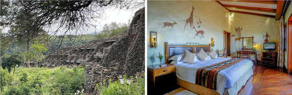 🛏️住宿: Ngorongoro Serena Safari Lodge
這間座落於火山口邊緣的經典山林旅宿,擁有壯闊的火山口景觀。請好好休息、調整時差,讓身心同步準備,迎接明日深入「非洲伊甸園」的首次野性探險。