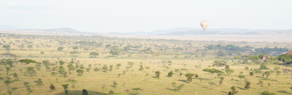 Kilimanjaro Airport – Arusha
抵達坦尚尼亞在吉力馬札羅國際機場,英文專業導遊及中文領隊將親自迎接您,隨後展開第一段陸地旅程,將前往阿魯沙的飯店。好好休息、調整時差,迎接接下來充滿野性的每一天。