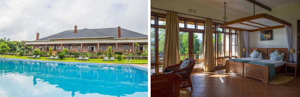 🛏️住宿:Ngorongoro Coffee Lodge
位於 Karatu 咖啡莊園區,擁有優美的花園景觀與舒適典雅的住宿環境。結合咖啡園風情與高品質設施,是探索恩戈羅恩戈羅與塞倫蓋蒂後放鬆休憩的理想住宿選擇。