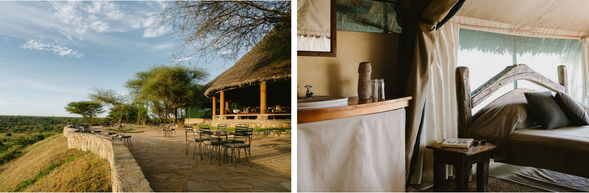 🛏️住宿:Tarangire Safari Lodge
是塔蘭吉雷國家公園內最具代表性的住宿之一,位置絕佳、視野開闊,坐落於高地之上,這裡俯瞰整個塔蘭吉雷河谷,是觀賞野生動物和夕陽的絕佳地點。