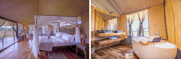 🛏️住宿:Malaika Luxury Camp(連住3晚-第一晚)
位於 Serengeti 北部 Mara River 附近,是大遷徙的重要活動區域。
抵達北部草原後入住豪華帳篷營地,營地設計兼具舒適與野性。
夜晚在草原的寧靜中休息,準備迎接接下來幾天的遷徙探索。