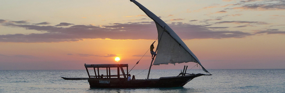 專車送機,帶著記憶卡裡滿滿的動物鏡頭、草原日落與海島回憶,結束這趟動物與海洋交織的蜜月旅程。