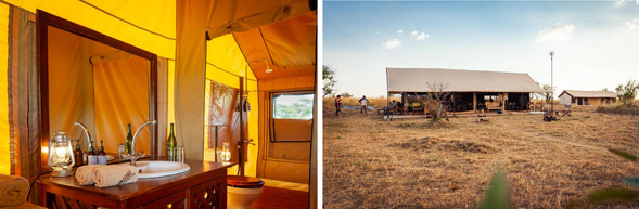 🛏️住宿:Gnu migration camp-Mara River(連住3晚-第三晚)
營地提供寬敞帳篷,內設大床、獨立衛浴與熱水淋浴,結合荒野氛圍與現代舒適。