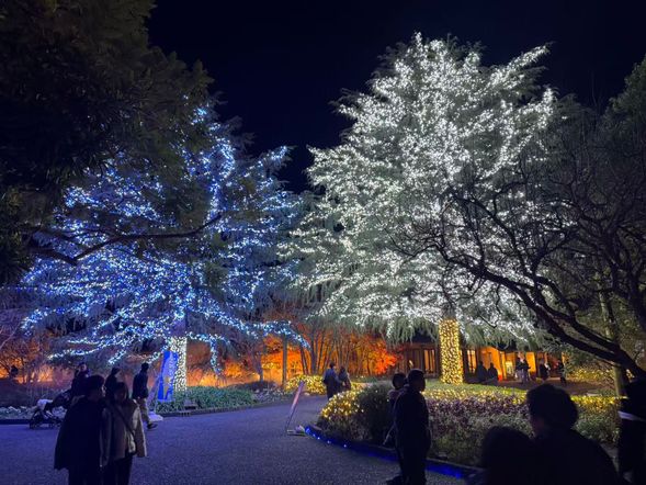 到達名花之里散策2小時30分鐘