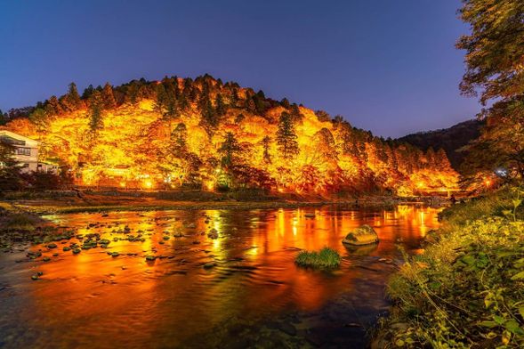 ▼香岚溪-享誉全国的秋季赏枫名胜(约120~210分钟,视当天路况等调整行程内时间,可自由活动,)
香岚溪是日本东海地区第一红叶名所,位于奥三河足助町的国家公园。香岚溪名字的由来,是用香积寺的“香”及京都枫叶名所岚山的“岚”组合而成的。17世纪前叶,参荣禅师参读一卷《般若心经》后,即亲植一株红叶树于香岚溪畔。其后人追随其志,也效尤地植树于溪谷山涧。至今,香岚溪畔有4000多株,11种不同的红叶树,巴川美丽的溪流,伴着燃烧着的红叶,宛如锦秋的绘卷,是日本人必游的红叶胜地。
可以从矢作川的支流——巴川的待月桥慢步至香岚桥,观赏沿途的美丽景色。另外,足助町自古是运盐到信浓(长野县)的要道。因此香岚溪畔筑有三州足助屋敷,是明治时代富农的宅地的重现,在此可以享受得天独厚的自然生态与接触朴素的山村生活之外,还可以亲自体验织布、蓝染、抄纸、竹器工艺等当时的农家农活。