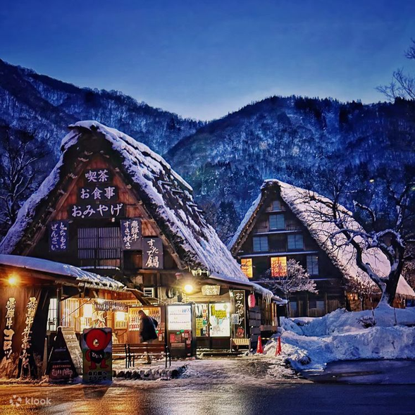 到達白川鄉合掌村