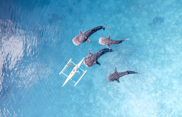 結束活動後可自由在周邊簡單走走或休息。