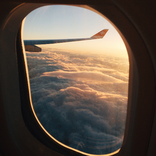 享用完渡假村的早餐後,大家將整理行李、辦理退房手續。專車會接送至邦勞機場,準備搭機返回台灣。
五天四夜的旅程雖然告一段落,但專屬於薄荷島的藍色大海、沙丁魚風暴、海龜花園,以及一路上的歡笑與回憶,都將成為你心中最珍貴的收藏。
帶著滿滿的照片、故事與放鬆的心情,快樂返鄉,期待下一次再與頑飛相聚。