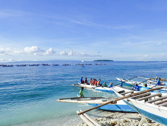 抵達奧斯陸,辦理鯨鯊浮潛報到。