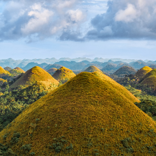 離開靜謐的人造森林後,我們將前往薄荷島的地標——巧克力山 (Chocolate Hills)。這裡擁有超過 1,200 座圓滾滾的小山丘,連綿起伏,景象壯麗又奇特。旱季時草地轉為棕褐色,遠遠望去,就像一顆顆散落在大地上的巧克力松露,因此得名。這是薄荷島最具代表性的景點,也是此趟旅程的必訪之地。站在巧克力山前,你會明白,為什麼它能成為世界級的天然奇觀。
登上觀景台,壯闊的視野盡收眼底,這片大自然的奇蹟令人屏息。無論是藍天下的翠綠,還是夕陽餘暉下的金黃,每一刻都展現出不同的迷人風貌。