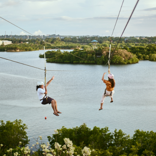 下午挑戰 · 滑索飛越 Loboc River。
享用完飄飄河午餐與表演後,我們將前往 Loboc River 的滑索基地。這裡有全菲律賓最刺激的高空滑索體驗,你將被繫上安全裝備,從高台一躍而下,飛越整條 Loboc River。
在疾馳而過的瞬間,眼前展開的是壯麗的山林與蜿蜒的河流,微風呼嘯耳邊,視野無比開闊。這不僅是一場速度與高度的挑戰,更是一種突破自我、俯瞰薄荷島大自然的獨特方式。
