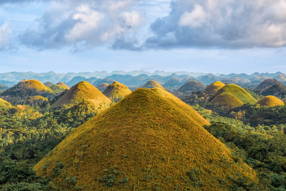 接著前往薄荷島的地標——巧克力山 (Chocolate Hills)。這裡擁有超過 1,200 座圓滾滾的小山丘,連綿起伏,景象壯麗又奇特。旱季時草地轉為棕褐色,遠遠望去,就像一顆顆散落在大地上的巧克力松露,因此得名。