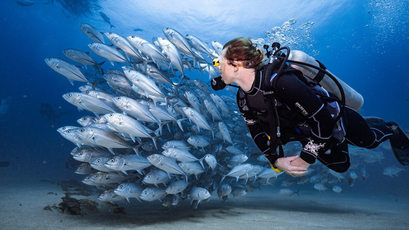 巴里卡薩島被譽為「上帝的水族箱」,是持證潛水員(Fundive)必訪的世界級船潛聖地。我們將帶領你跨越如畫的珊瑚花園,在繽紛的海底叢林間與無數悠遊的海龜驚喜相遇,感受這座「海龜島」獨有的溫馨脈動。隨後我們將挑戰深邃的垂直大斷層,在銀色傑克魚風暴與深藍懸崖的交織下,盡情展現優雅的水下飛行藝術。透過與在地潛店的聯名合作,你將在專業中文導覽下,安全地探索這場大自然的流動視覺盛宴。本行程採專屬套裝制,致力於將這場夢幻的海洋篇章,轉化為你生命中最精緻的冒險回憶。