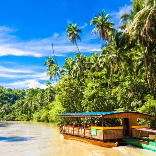 參觀完眼鏡猴保護區後,我們將前往薄荷島最著名的 Loboc River 飄飄河。登上漂流河上的觀光餐船,迎接你的是滿桌豐盛的 Buffet 自助大餐,從山珍海味到當地特色料理一應俱全,在碧綠的河水與兩岸熱帶林木的環繞下用餐,是一次獨特又愜意的享受。
沿途還有 當地竹竿舞表演,展現菲律賓傳統文化的熱情奔放;甚至會看到村裡的小孩從岸邊高高跳下,開心地投入河水中,為遊客帶來最真實純粹的笑容。
在悠揚音樂與輕快笑聲中,這一段河上旅程,不僅飽足味蕾,更讓你深刻體驗薄荷島最真摯的人情風貌。
