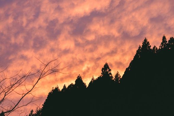 綺麗な夕焼けにうっとり…