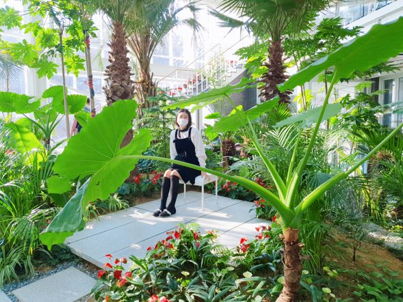 各種特色咖啡廳,拍出一張張詢問度爆表的美照