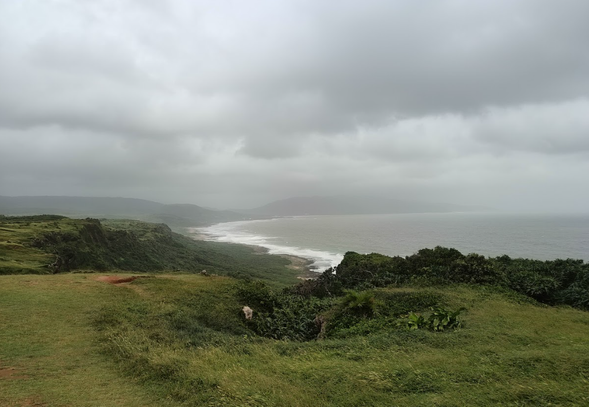 一望無際的海岸線,大片綠植的龍磐公園