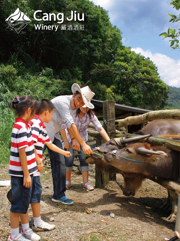 【頭城農場】|知性導覽