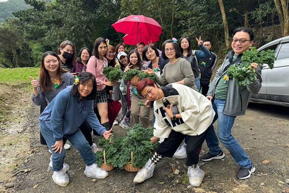 香草植物認識 & 採集