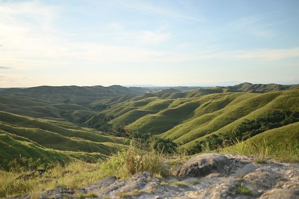 Warinding Hills(瓦林丁山丘)
清晨拍攝夢幻草原與波浪起伏的山丘,是攝影師最愛的松巴經典地景之一。