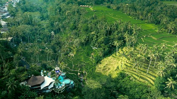 Alas Harum Bali 梯田泳池俱樂部
在層層梯田間泡進透明泳池,俯瞰綠野與椰林搖曳。這裡是 Instagram 美照聖地,更是心靈度假的秘密基地。
