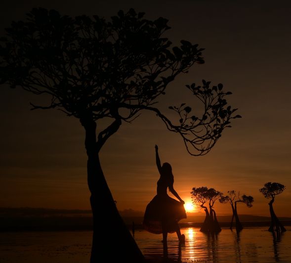 Walakiri Beach(瓦拉奇里海灘)
傍晚前往紅樹林沙灘,觀賞獨特的“跳舞樹”在退潮時隨夕陽形成剪影,是松巴最迷人的日落景點之一。