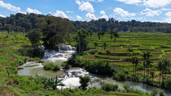 Waikacura Waterfall(威卡庫拉梯田瀑布)
結合瀑布與稻田的奇景,水流自田間緩緩流動,是攝影與靜賞的絕美景點。