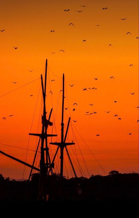 【卡隆島 Kalong Island】