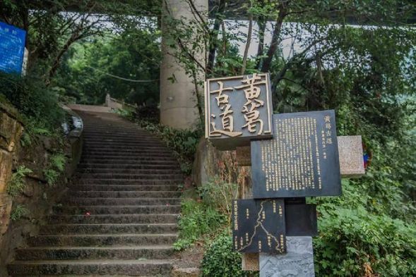 🌿 重慶・黃葛古道+三毛故居|走進山城的歲月故事
穿梭於綠蔭與石階之間,感受山城最純粹的步行風景